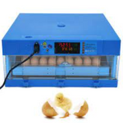 64 Eggs Incubator Advanced Roller Technology
