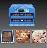 128 Eggs Incubator Premier Italy Intelligent Automatic Egg Hatcher