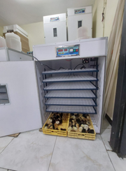 1232 Eggs Faida Bora Digital Fully Automatic Egg Incubator Poultry Hatcher