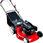 21" 6hp 196cc Self Propelled Loncin Germany Lawn Mower LYS21