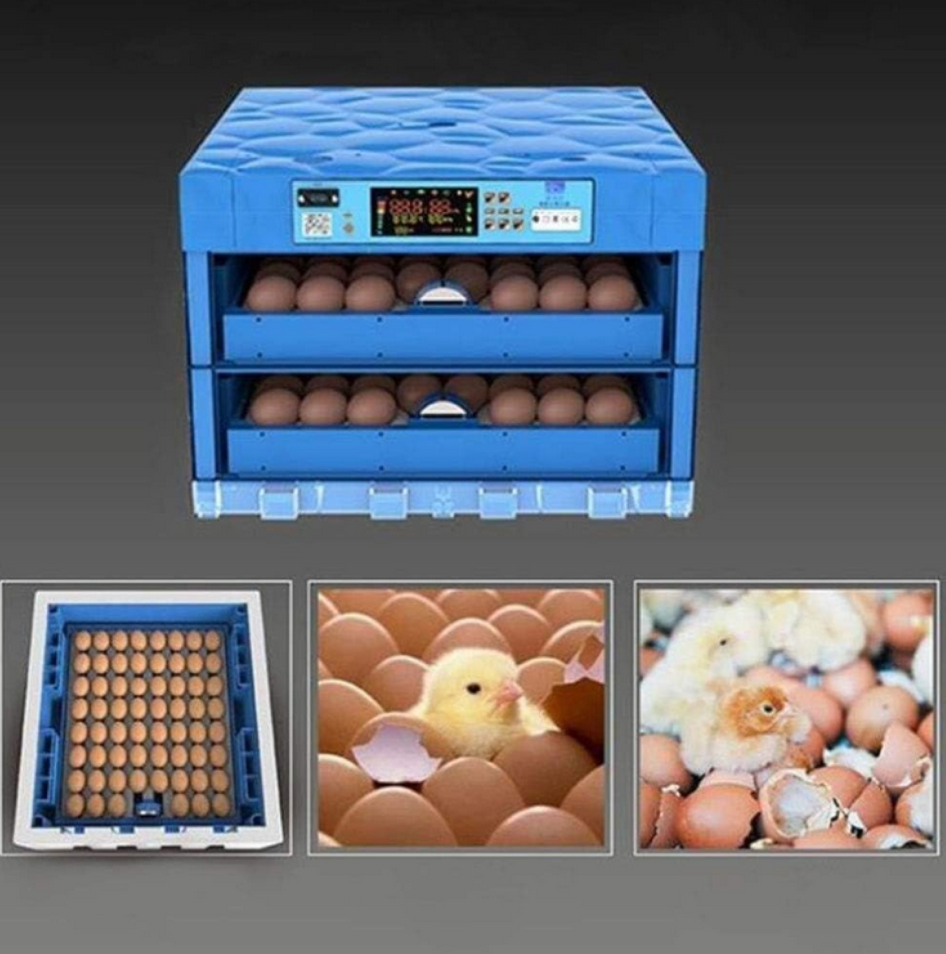 104 Eggs Incubator Automatic Rollers - Image 2